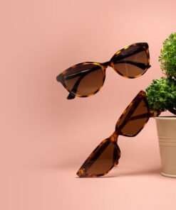 Apostolos vamvouras lunettes