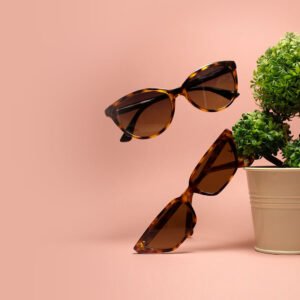 Apostolos vamvouras lunettes